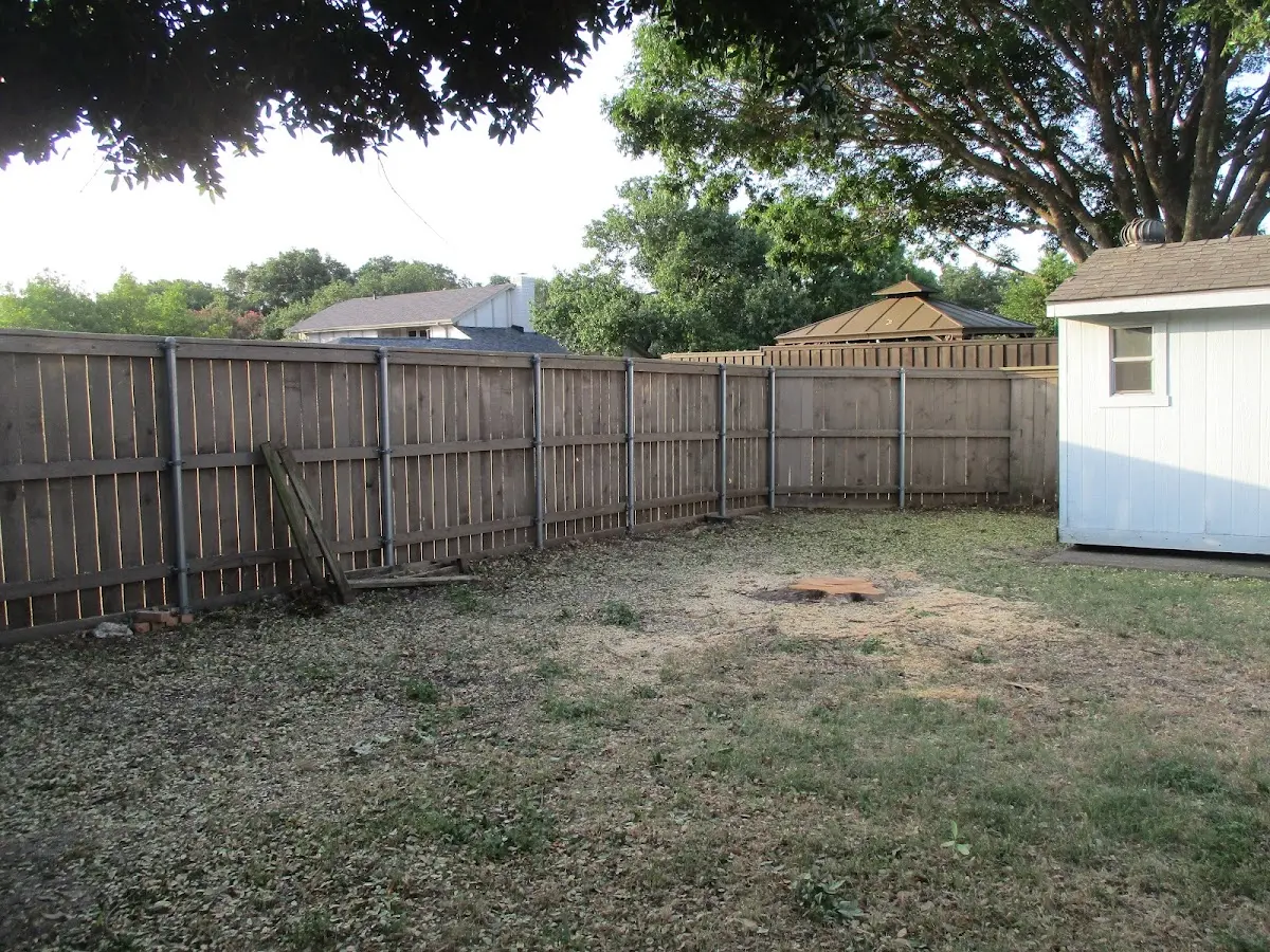 Cleared yard after professional tree removal in Caro